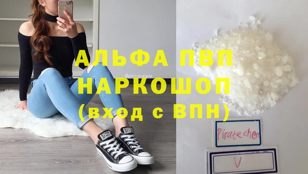 СК Арсеньев